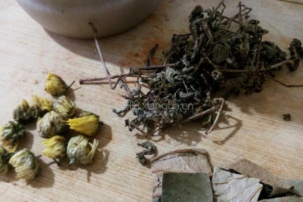 密炼菊花荷叶夏枯草茶的做法图解1
