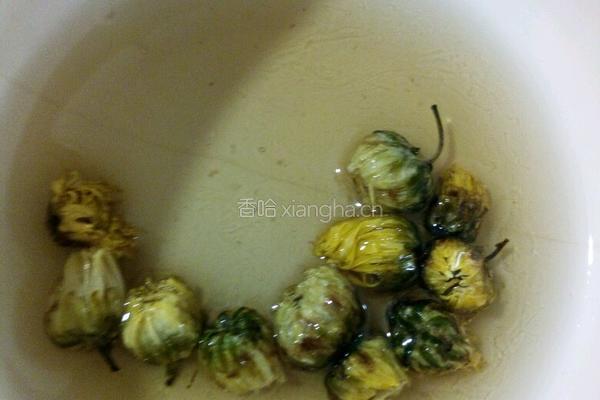 密炼菊花荷叶夏枯草茶的做法图解4