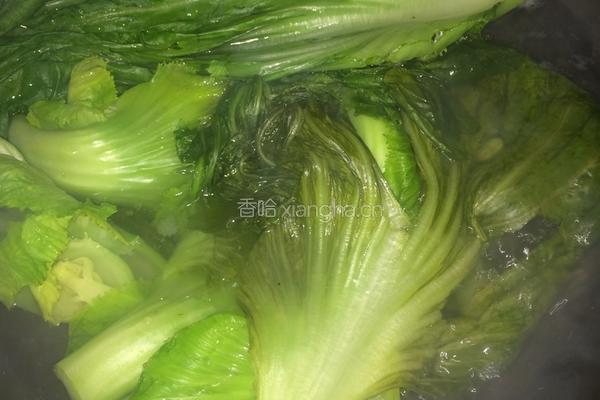 酸菜炒大肠的做法图解6