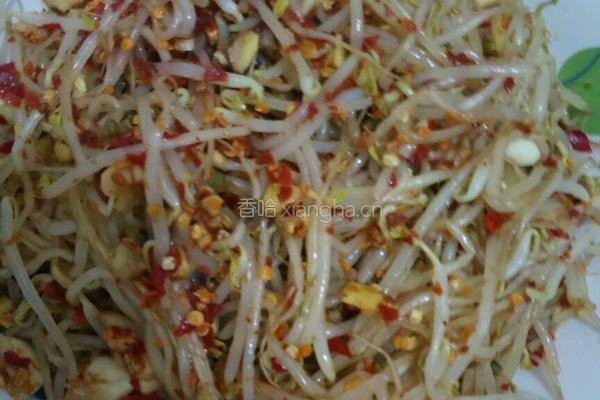 凉拌豆芽