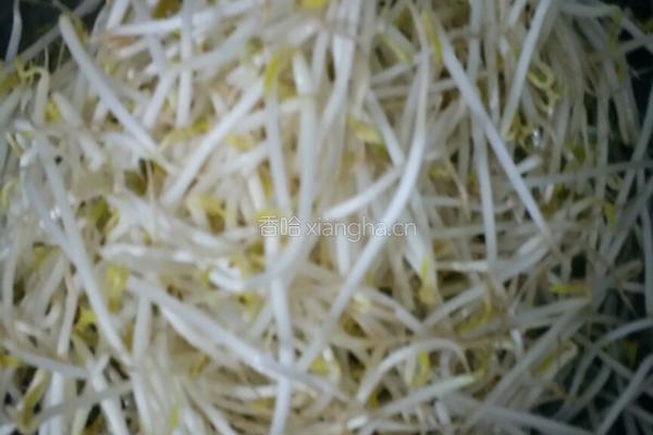 凉拌豆芽的做法图解4