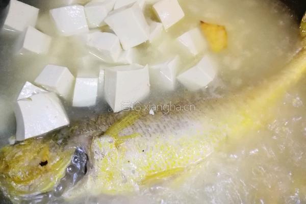 黄鱼豆腐汤的做法图解5
