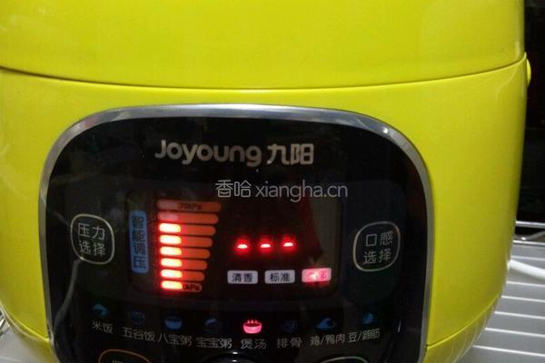 萝卜炖牛腩的做法图解12