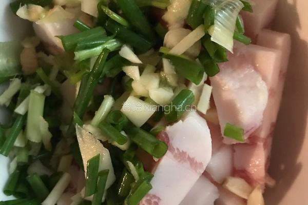 胡萝卜炖肉条的做法图解1