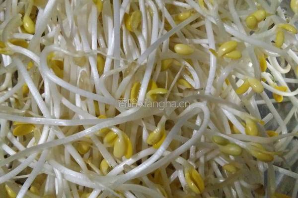 黄豆芽炒葱的做法图解1