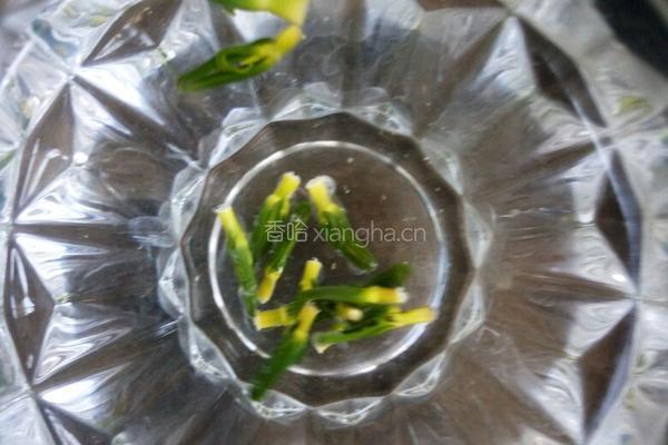 莲芯苦茶的做法图解5
