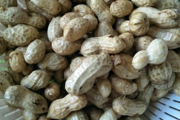 煮花生的做法图解3