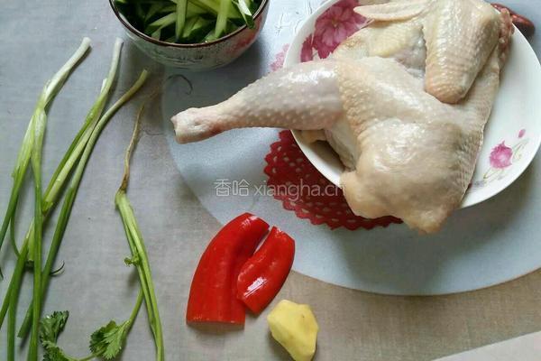 手撕鸡的做法图解1