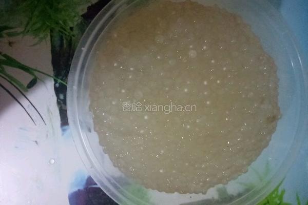 芒果哈密瓜西米露的做法图解5