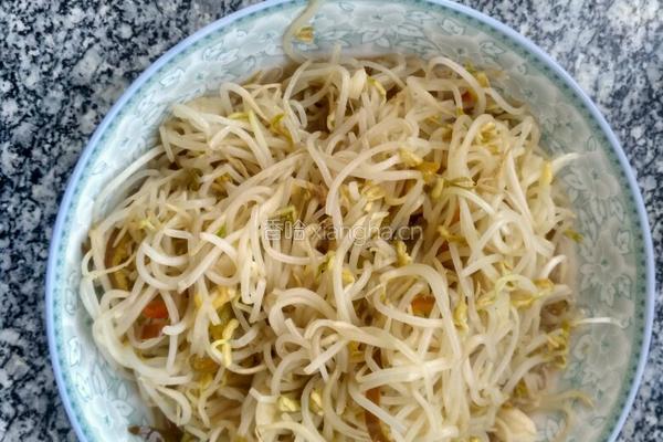炒绿豆芽的做法图解9