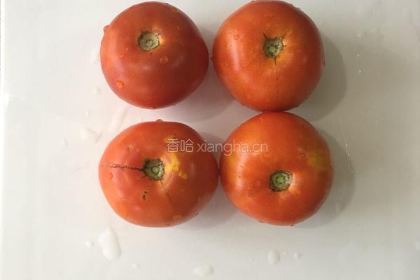 蕃茄汁的做法图解1