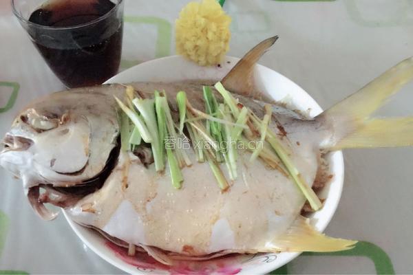 清蒸鲳鱼