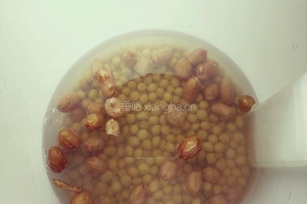 营养互补黄豆豆浆的做法图解2