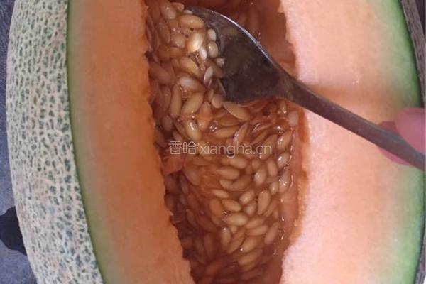 鲨鱼嘴哈密瓜的做法图解6