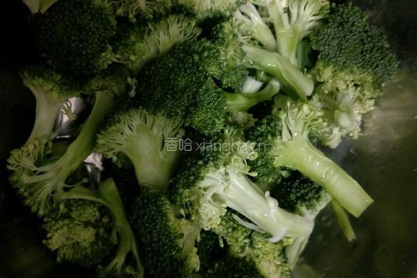 西兰花的做法图解1
