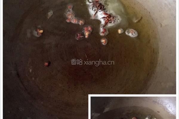 土豆炖牛肉的做法图解6