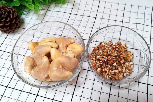 风车之菱角薏米粥的做法图解4