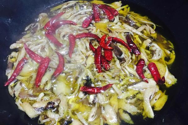 鸡纵菌油的做法图解9