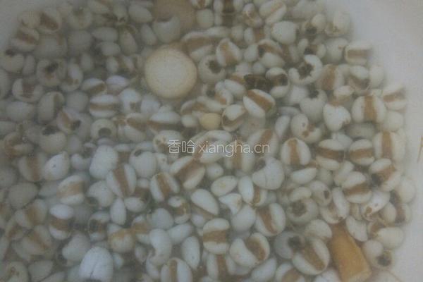 人参薏米汤的做法图解5