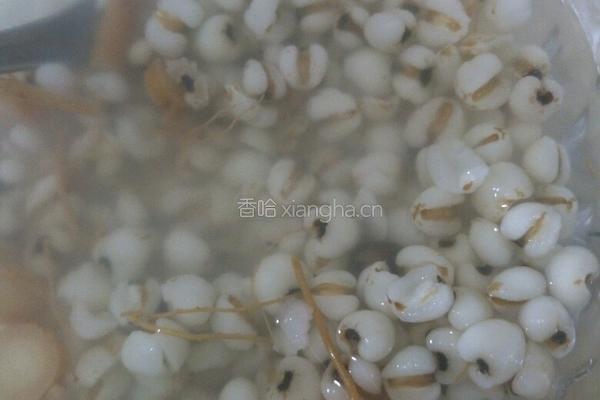 人参薏米汤的做法图解7