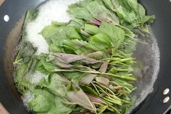 酸甜紫苏汁的做法图解5