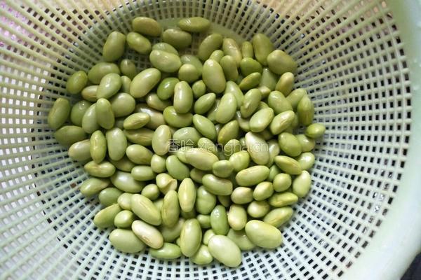 鸭胗炒毛豆的做法图解2