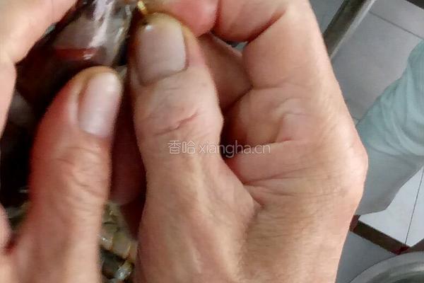 大虾的处理的做法图解2
