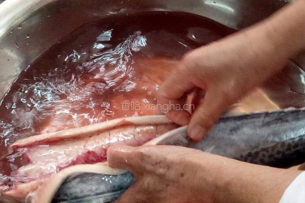 鲅鱼馅的制作的做法图解1