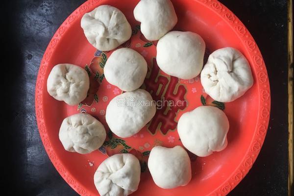瘦肉包子的做法图解6