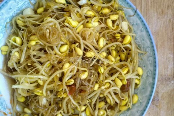 豆芽粉丝包的做法图解1