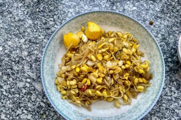 豆芽粉丝包的做法图解3