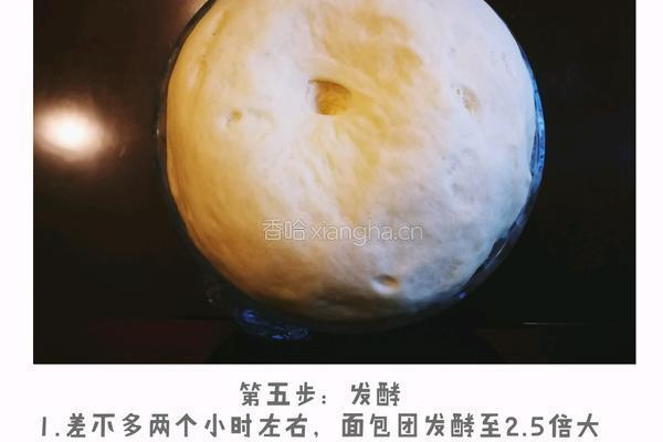 原味土司面包的做法图解5