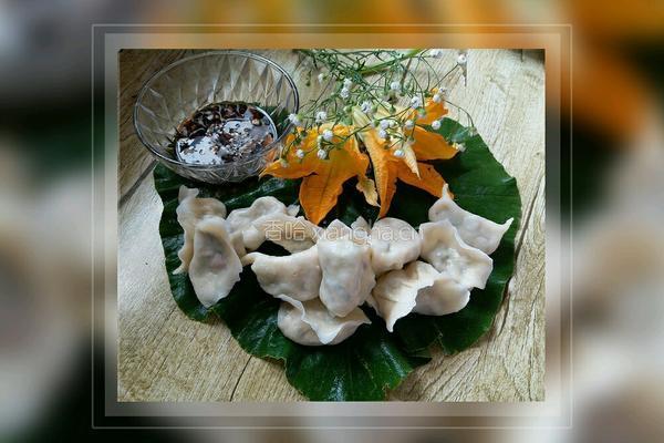 西葫芦馅水饺的做法图解6