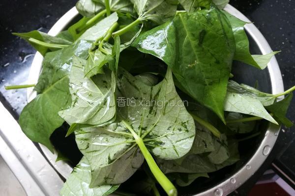 蒜蓉番薯叶的做法图解2