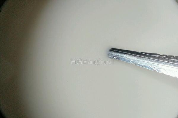 红烧苕粉的做法图解1