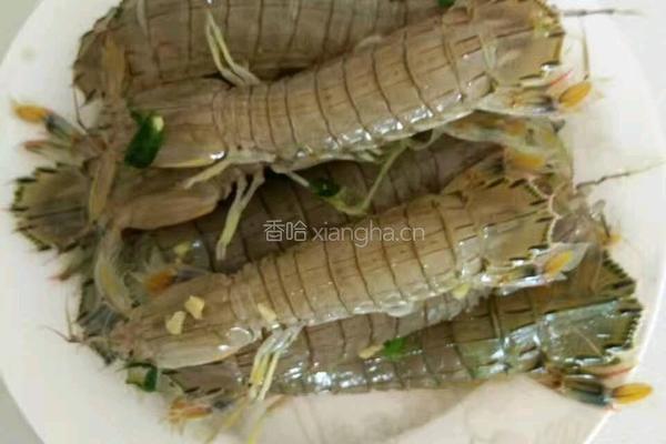 醉虾的做法图解5