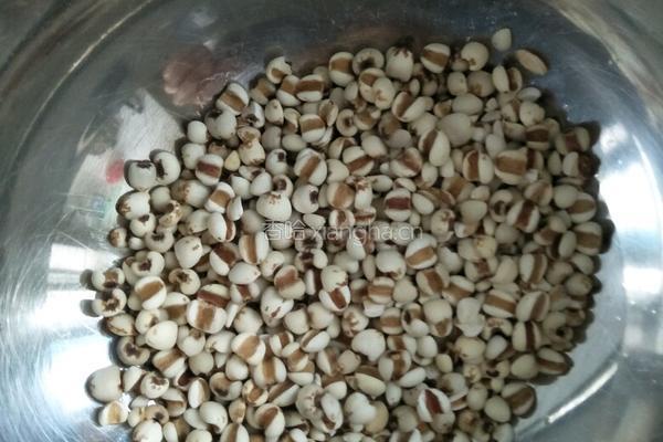 薏仁去湿茶水的做法图解2