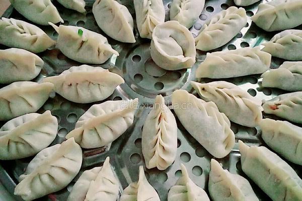 韭菜肉饺子的做法图解9