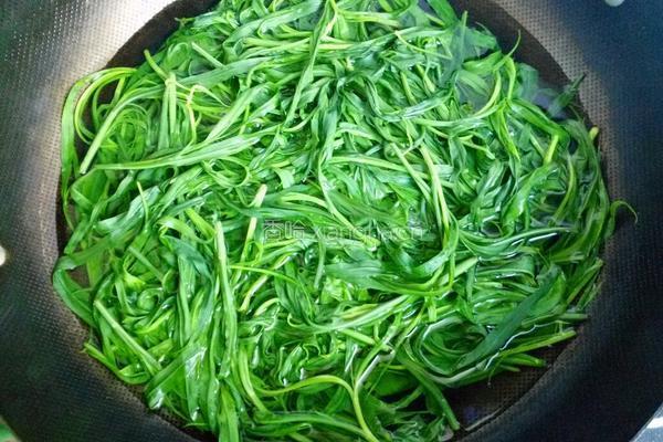 凉拌柴胡尖的做法图解3