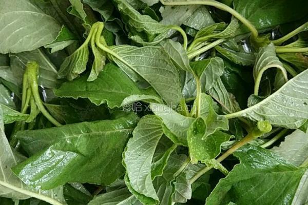 蒸野菜的做法图解1