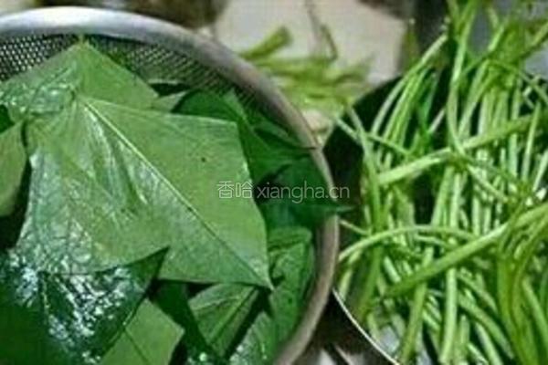 清炒山芋秧杆的做法图解1