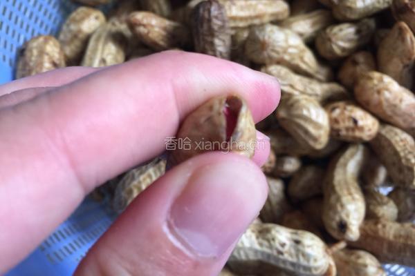 花毛一体的做法图解3