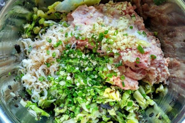 包菜虾皮猪肉饺子的做法图解8