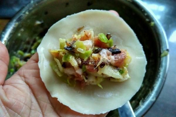 包菜虾皮猪肉饺子的做法图解10