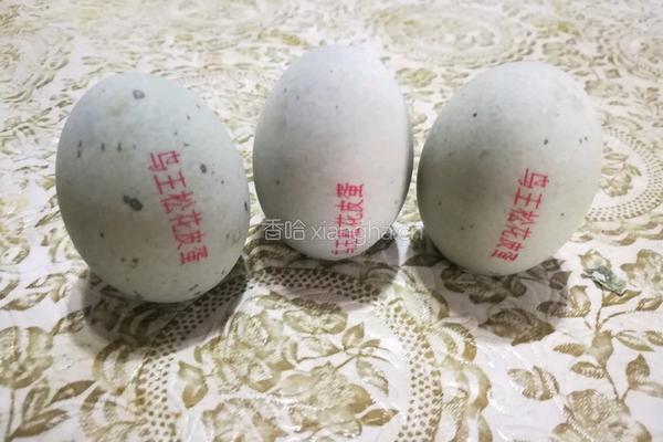 凉拌皮蛋的做法图解2