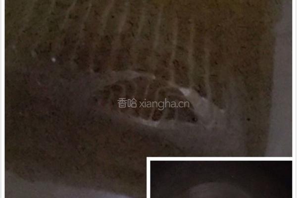 红烧太平洋红鱼的做法图解3