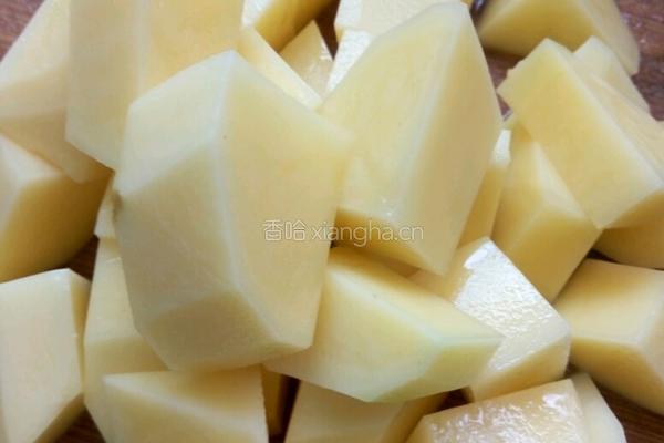 炖肥肠的做法图解7