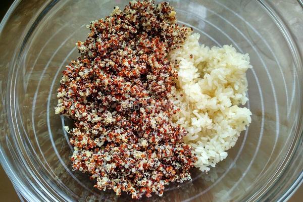 香菇虾仁三色藜麦饭团的做法图解13
