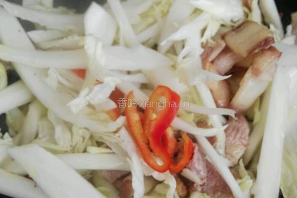白菜地瓜粉丝炒肉片的做法图解6