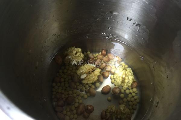花生核桃豆浆的做法图解4